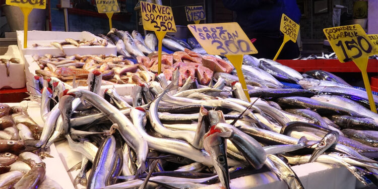 Trabzon'da balık tezgahlarında çeşit bolluğu
