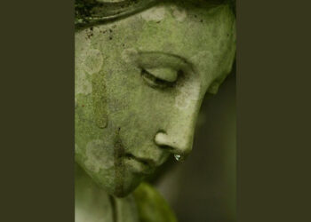 Vazgeçtiğim yeşimler