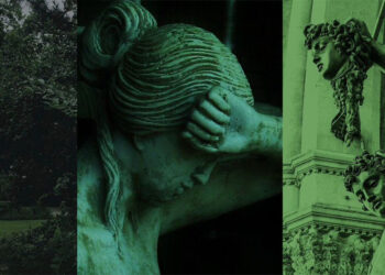 Yeşimlere sarılı kambur