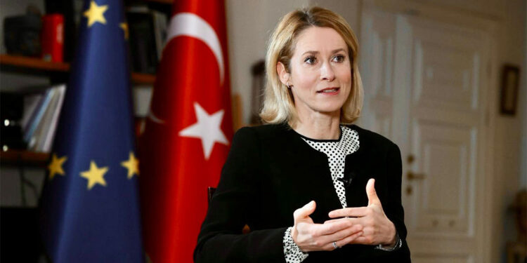 Türkiye AB için stratejik bir ortaktır