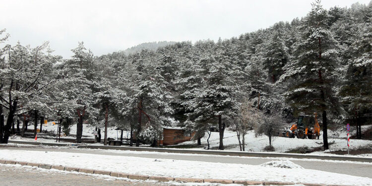 Abant Gölü Milli Parkı kar yağışıyla beyaza büründü
