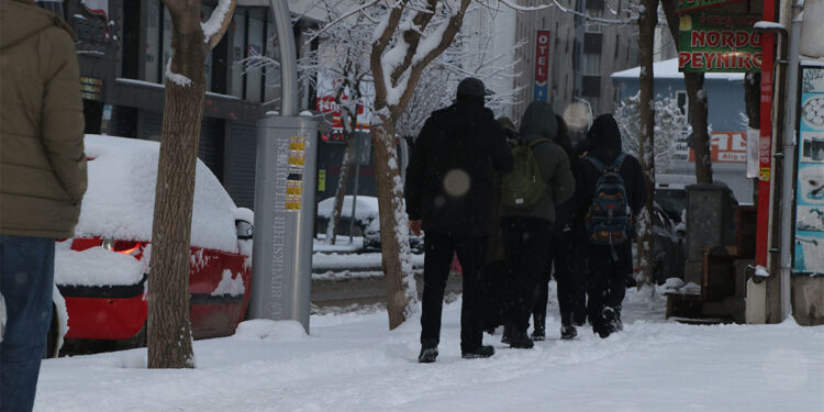 Van'da kar yağışı nedeniyle 493 yerleşim yeri ulaşıma kapandı