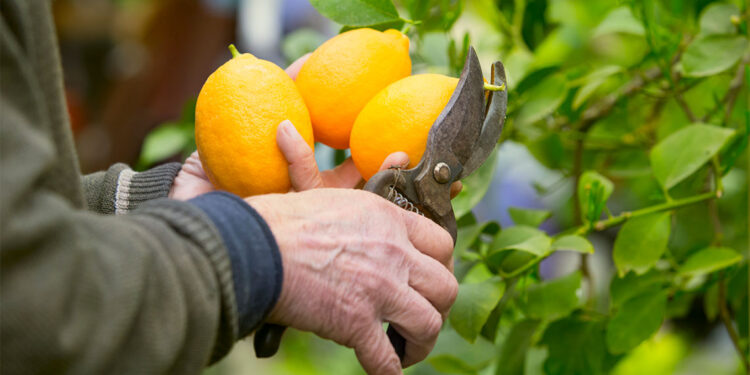 Çiftçinin ayakta kalması çok zor