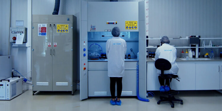 CW Enerji kadın istihdamı ile enerjiye yön veriyor