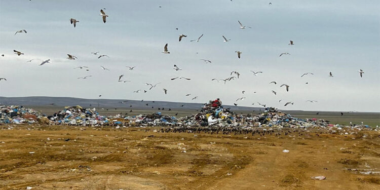 ABB'ye 2 ihlalle ilgili 5 milyon 130 bin TL çevre cezası