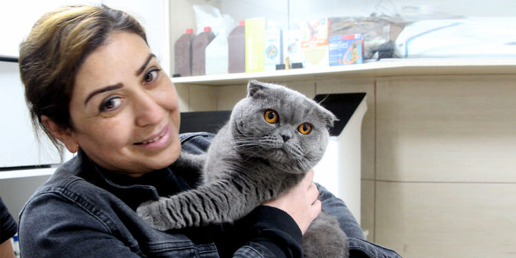 6 milyonda 1 görülen çift cinsiyetli kedi ameliyat edildi