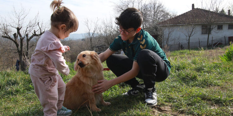'Alex' geldi, ailenin çocukları sosyal medyadan uzaklaştı