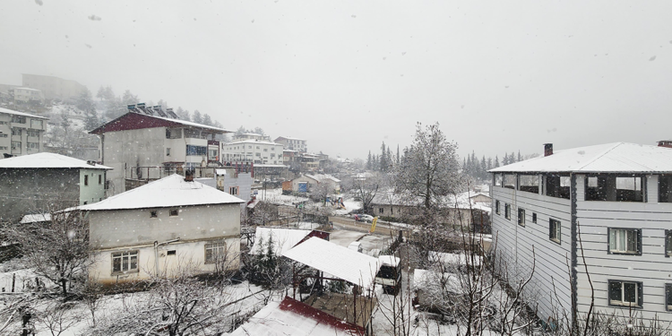 Adana'nın yüksek kesimlerine kar yağdı