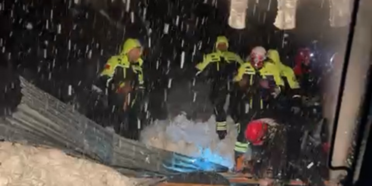 Ahırın çatısı çöktü; 50 küçükbaş öldü