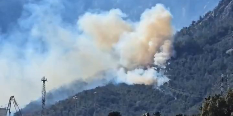 Antalya'nın Tünektepe mevkiinde orman yangını