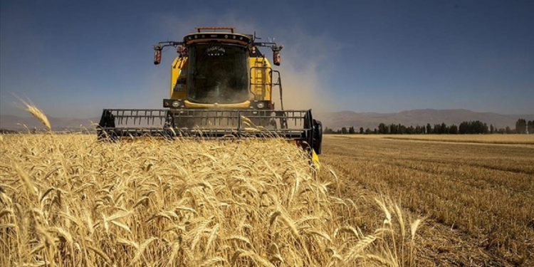 Aralık ayında tarımsal girdi fiyatları arttı