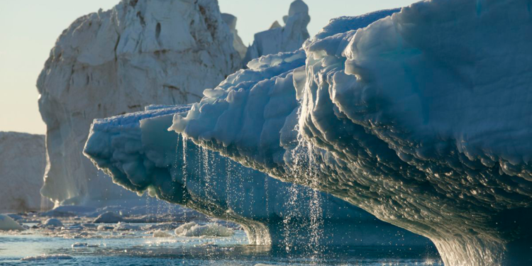 Arktik'in 'Son Buz Bölgesi' öngörülenden daha hızlı kaybolabilir