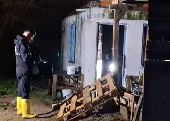 Bursa'da sobayı benzinle harlamak isterken yangın çıktı: 1 ölü,1 yaralı
