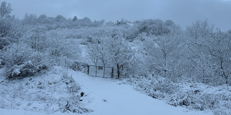 Bartın'da kar yağışı başladı