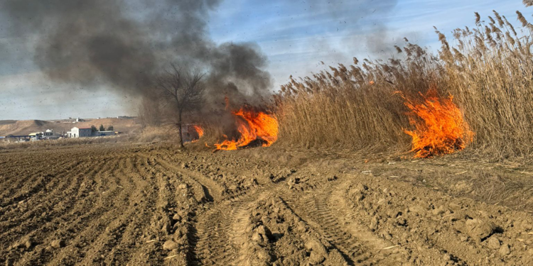 Batman'da sazlık yangını söndürüldü