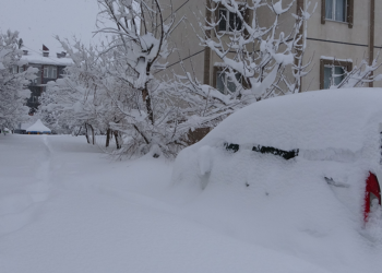 Bitlis'te kar kalınlığı 1 metreye ulaştı; 306 köy yolu kapalı