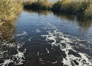 Büyük Menderes Nehri kirlilik nedeniyle siyaha büründü