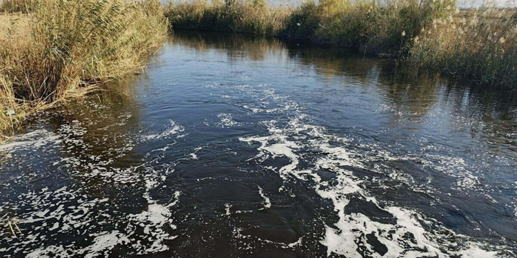 Büyük Menderes Nehri kirlilik nedeniyle siyaha büründü