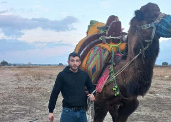 Çanakkale'de deveciler arasında alacak kavgası; 1 ölü