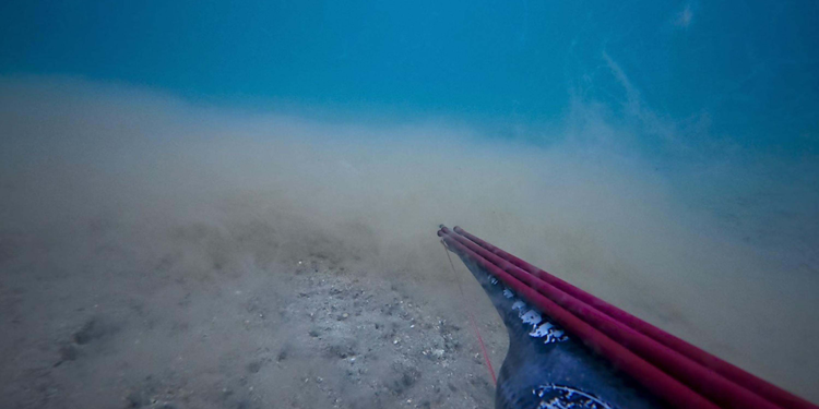 Çanakkale Boğazı'nda deniz dibinde müsilaj yoğunluğu