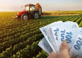 Çiftçilere 985 milyon 870 bin lira tarımsal destekleme ödemesi