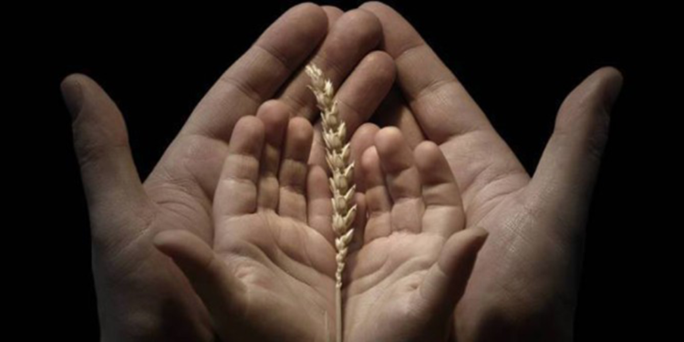 Çocukların dini değerlere yönelik soruları ve cevapları