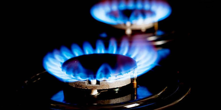 Doğal gaza erişimi olan yerleşim yeri sayısı 913'e çıktı