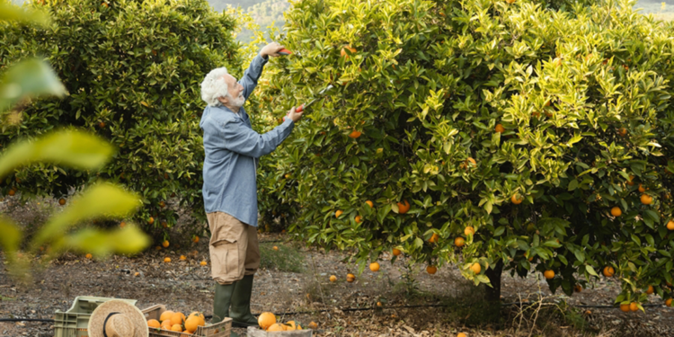 Dünyanın en acı meyvesi