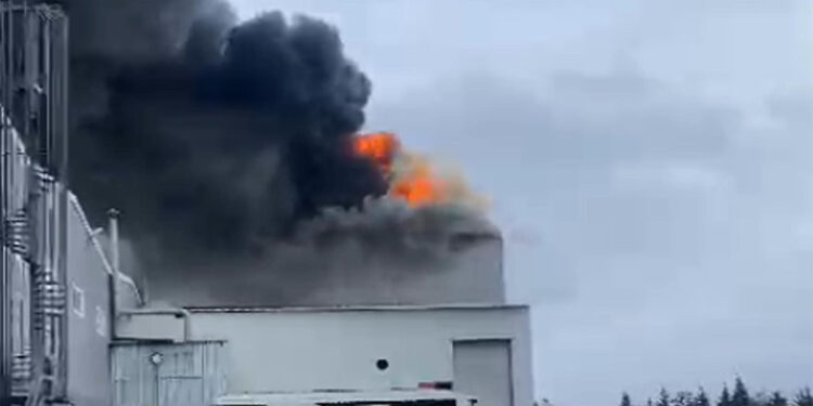 Edirne Organize Sanayi Bölgesi'nde fabrika yangını