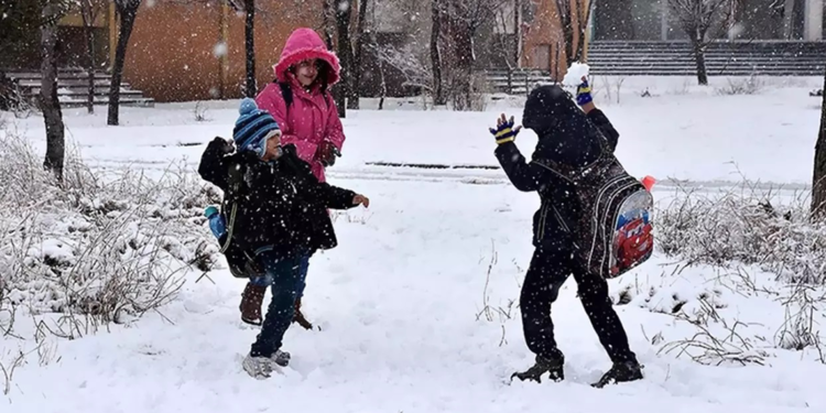 Eğitime kar engeli; İşte 25 Şubat kar tatili olan iller