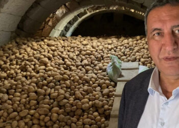 Bir ay içinde çöp olacak; Askıda patates çare olabilir