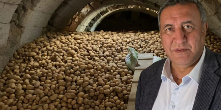 Bir ay içinde çöp olacak; Askıda patates çare olabilir