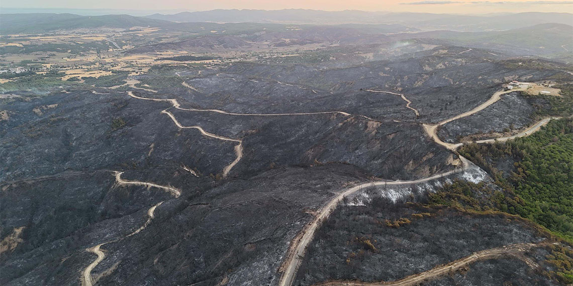 Çanakkale Onsekiz Mart Üniversitesi'nden (ÇOMÜ) Dr. Öğretim Üyesi Kemal Gökkaya, Gelibolu Yarımadası'nda çıkan yangının ekosisteme verdiği zararın araştırılacağını söyledi.