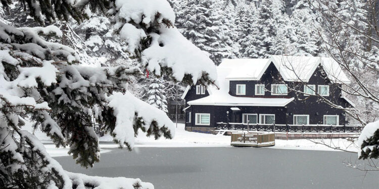 Gölcük Tabiat Parkı karla kaplandı, göl yüzeyi dondu
