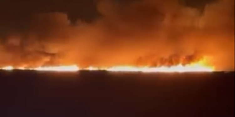 Göksu Deltası'nda sazlık yangını