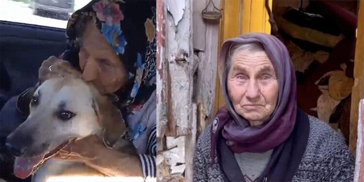 Ülker Güleryüz'ün öldüğü gecekondu yangınında itfaiye raporu çıktı