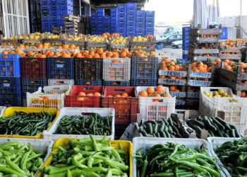 Halin en pahalısı sarımsak
