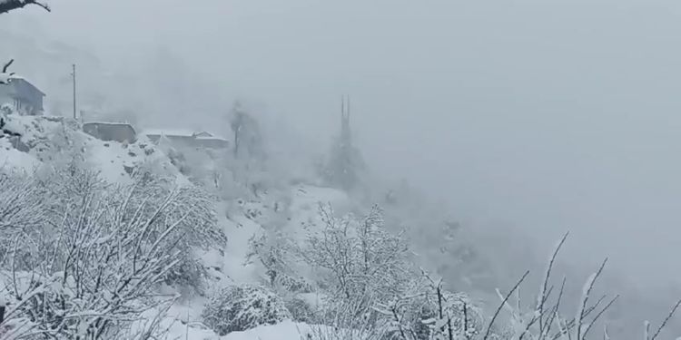 Hindistan'da çığ düştü: 41 kişi kurtarılmaya çalışılıyor