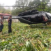 Honduras Devlet Başkanı Castro'nun helikopteri acil iniş yaptı