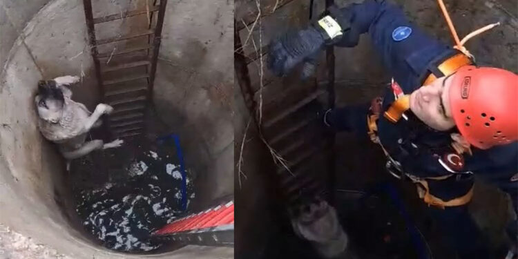 Su kuyusuna düşen Garip böyle kurtarıldı