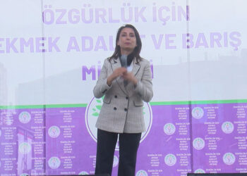 Bir yandan barış diyeceksiniz sonra kayyum atacaksınız