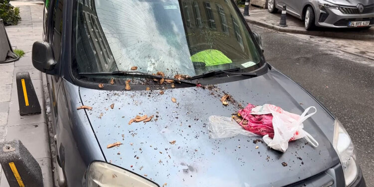 Güngören'de 6 katlı binadan atılan çöp aracın camını kırdı