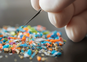 İnsan beynindeki mikroplastik oranı hızla artıyor
