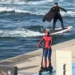 İstanbul Boğazı'nda Batman sörf yaptı, Spider-Man scooter kullandı
