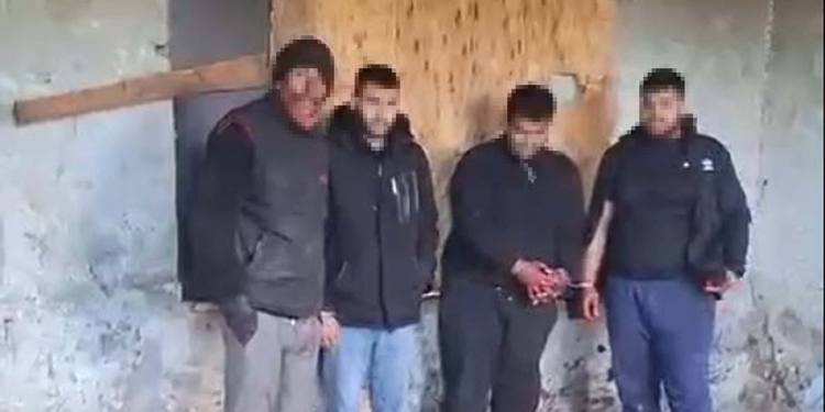 İzmir'de at kesimine suçüstü