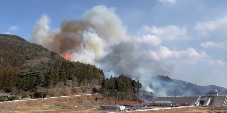 Japonya'da orman yangını: 2 bin 114 kişiye tahliye uyarısı yapıldı