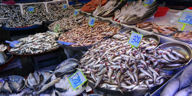 Deniz suyu sıcaklıkları balık tezgahlarını olumsuz etkiliyor