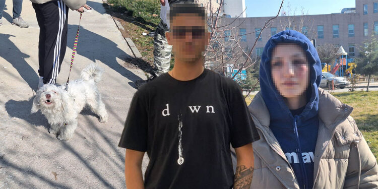 Kız arkadaşını dövüp köpeğini tekmeleyen şüpheli adliyede