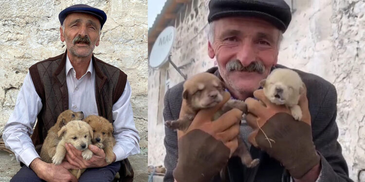 Kurt saldırısında anneleri ölen 8 yavrudan 6'sı hayata tutundu