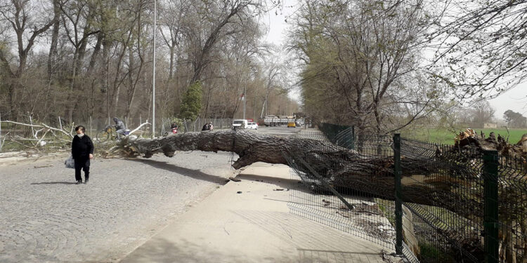 Meteoroloji, Kuzey Ege için fırtına uyarısı yaptı